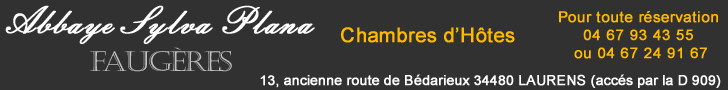 Id&eacute;e cadeau