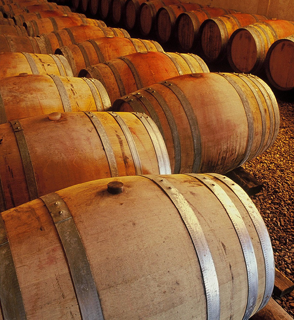 Wine tasting : vermentino wine local PGI Côtes de Thongue