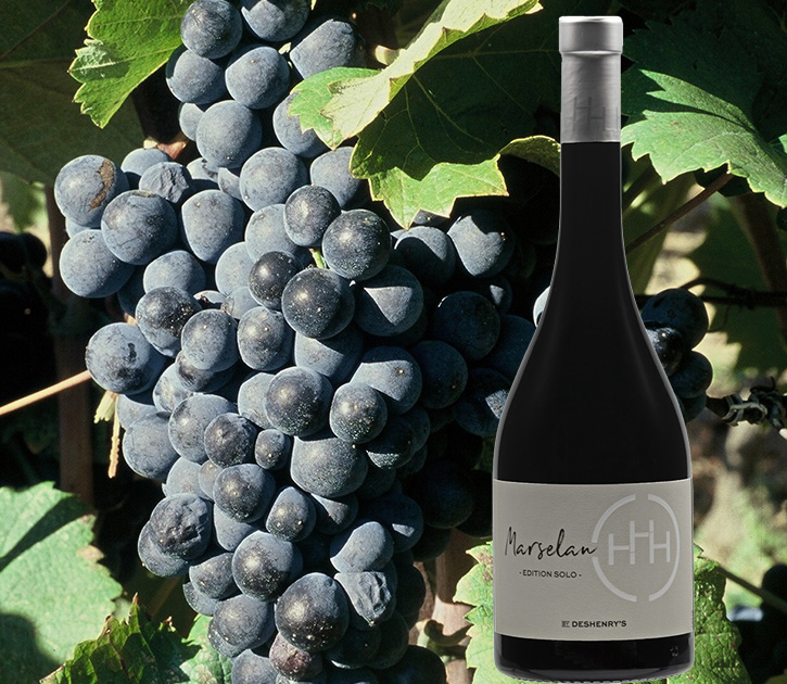 Red marselan wine local PGI wine from Côtes de Thongue of Domain Deshenry's