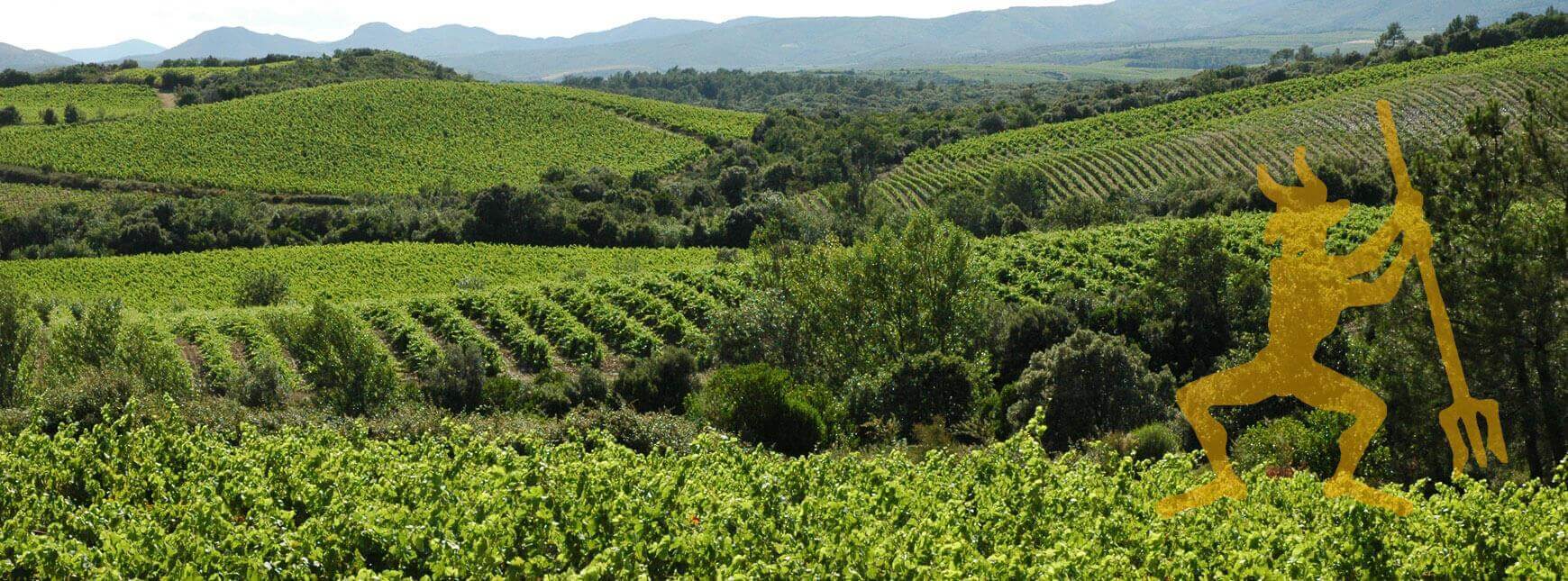 Abbaye Sylva Plana organically farms its 54ha vineyard: organic AOP Faugères - AOC Faugères wine